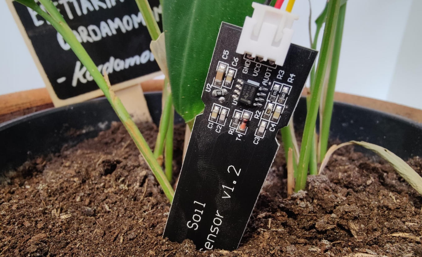 Sensor programmieren für Pflanzen in Ferienprogramm